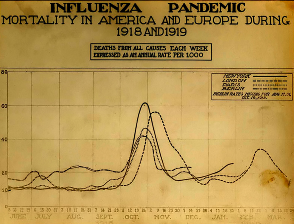 Spanish_flu_death_chart.thumb.png.a6989c38f0a462f4431382c594bc1dde.png
