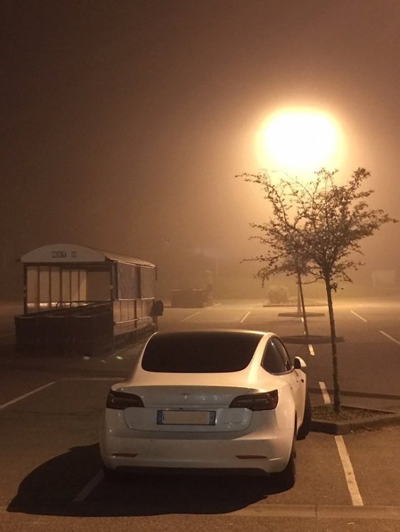 158326429_teslabrouillard.thumb.jpg.a4b0593693481cd18a7aca260cc2dc84.jpg