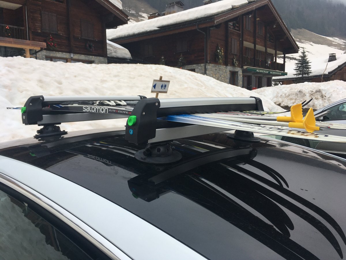 Porte Ski & Snowboard à ventouses pour Tesla, Treefrog