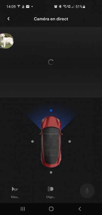 Screenshot_20211224-141000_Tesla.jpg