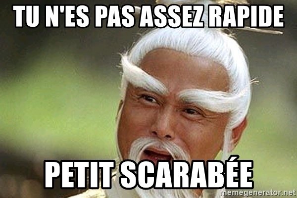 tu-nes-pas-assez-rapide-petit-scarabe.jpg.90a6335835b42cb180353311ee090371.jpg