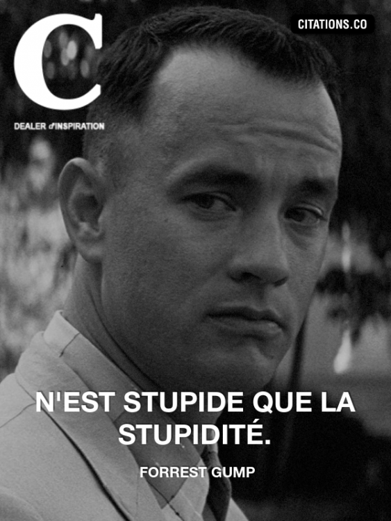 forrest gump-17923854.png