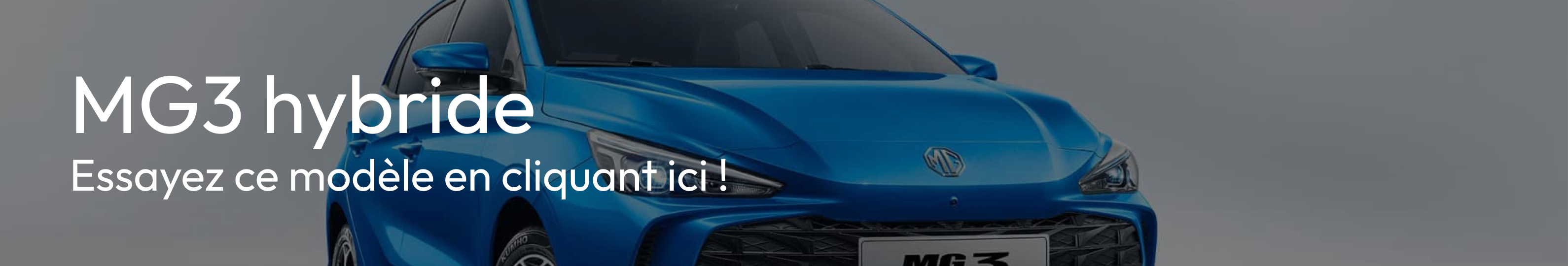 advertisement_alt