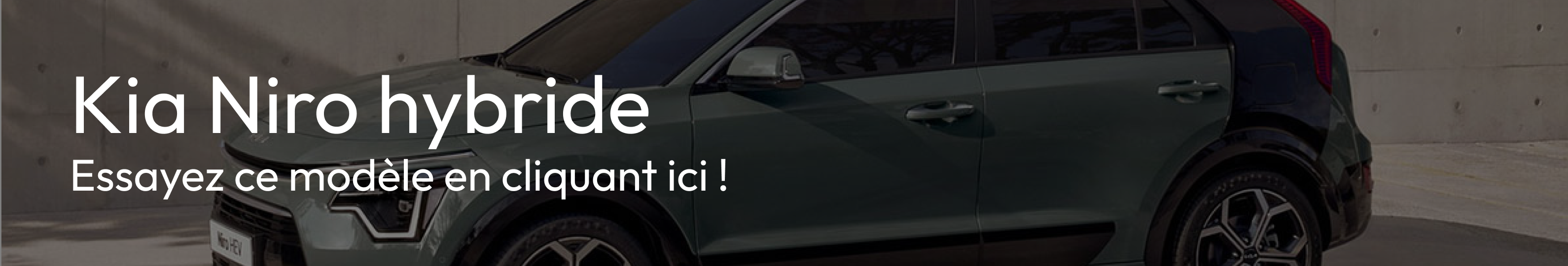 advertisement_alt