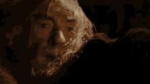 image.gif.0bb750615566a563f22b1739276c5d82.gif