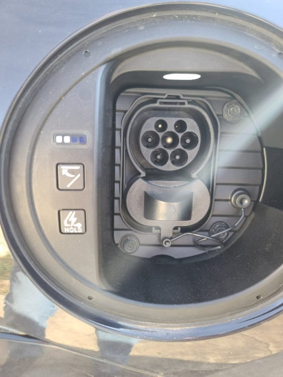 image.jpeg.22085318eaa2514fc3b5a1af09470017.jpeg