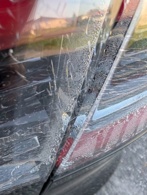 WhatsApp Image 2026-03-19.jpeg