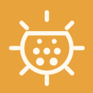 Sunplug
